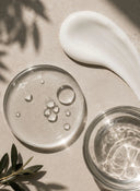 Antioxidant Moisturizer